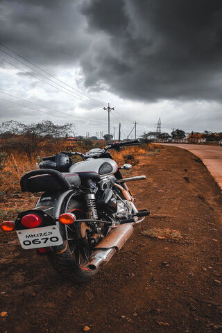 Ride of the Peacock: A Journey Through Nature's Palette