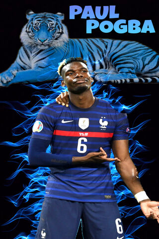 Paul Pogba Francia