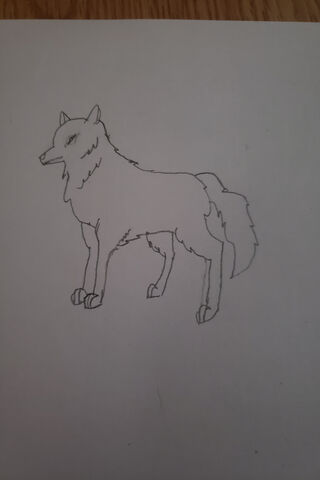 The Spirit of Radhe Shyam: A Mystical Canine