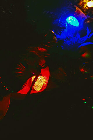 Twinkling Dreams: A Festive Glow ✨🎄