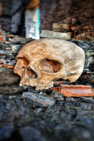 Echoes of the Past: The Skull Ruins