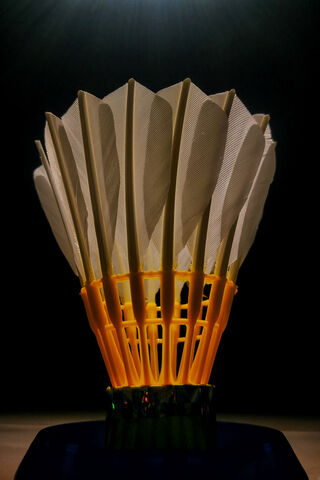 The Shuttlecock: A Feathered Marvel in Motion! 🏸✨