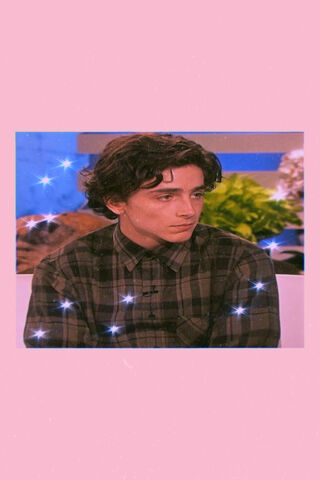 Charming Moments with Timothée Chalamet ✨