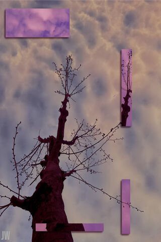 Whispers of the Vapor Tree 🌫️🌳