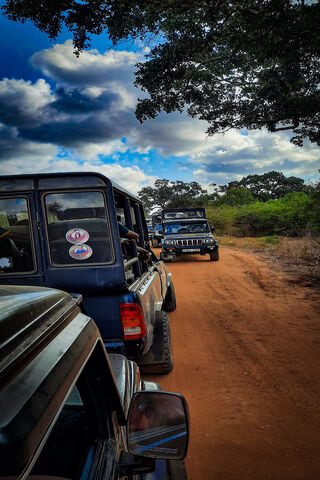 Adventure Awaits in Yaala, Sri Lanka! 🚙🌿