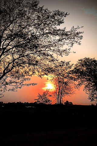 Sunset Serenity: Embracing the Evening Glow 🌅