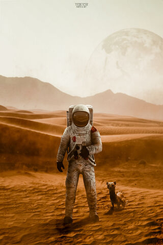 Cosmic Companions: A Jo..