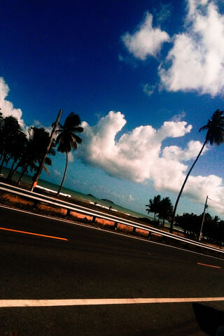 Belleza: A Tropical Escape 🌴☀️