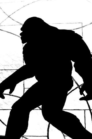 The Elusive Shadow of Bigfoot 🦶🌲