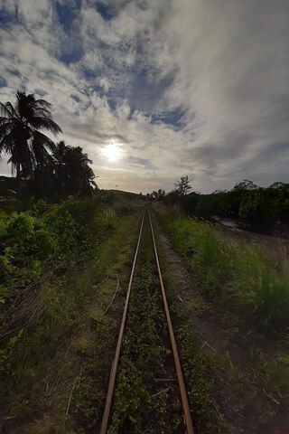 Tracks to Tranquility 🌅🚂