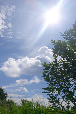 Heavenly Blue: A Day Under the Sky 🌤️✨