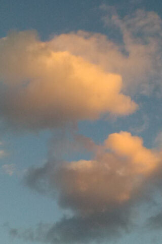 Whispers of the Sky: A Cloudy Daydream ☁️✨