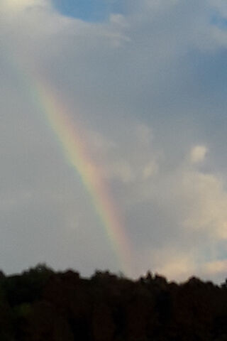 A Sip of Serenity: Nature's Palette