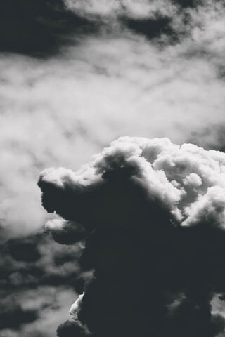 Whispers of the Sky: A Cloudy Canine