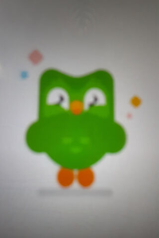 Meet Duo: Your Language Learning Buddy! 🦉✨