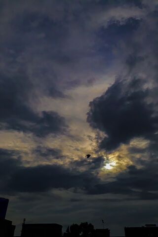 Whispers of the Sky 🌌