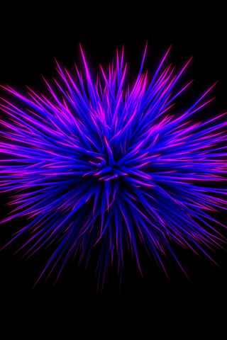 Vibrant Burst of Color