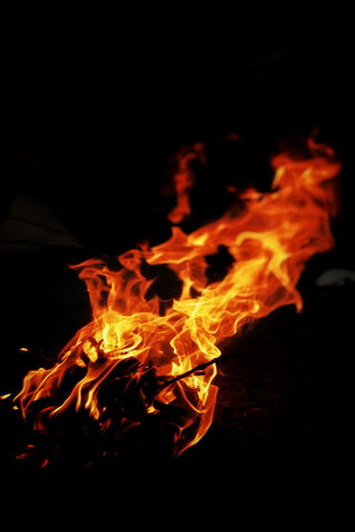 Embers of Foc De Tabara: A Dance of Flames 🔥