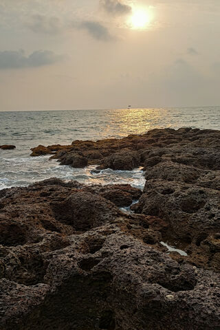 Sunset Serenity at Goa's Shores 🌅