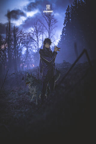 Shadows of Sorcery: A Jujutsu Kaisen Adventure 🌌🐺