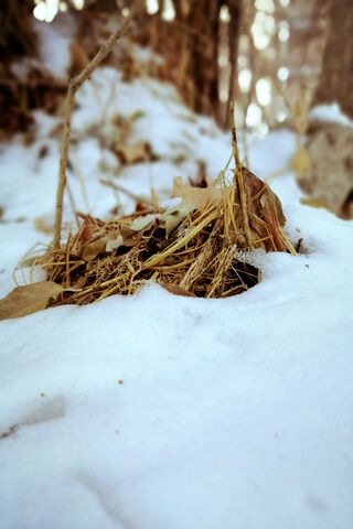 Kar: Nature's Hidden Secrets