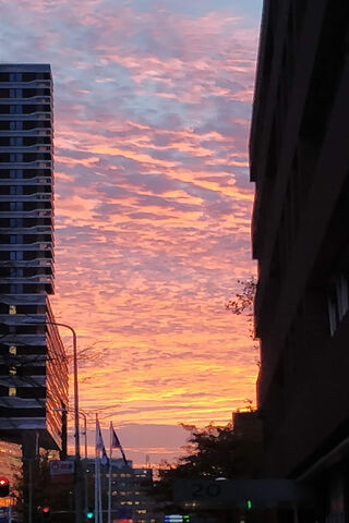 Sunset Symphony: A Canvas of Colors 🎨🌅