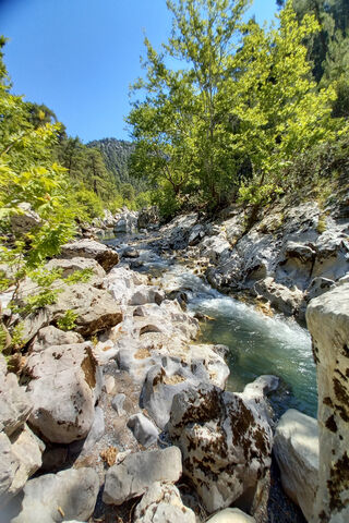 Serenity by the Stream 🌿💧