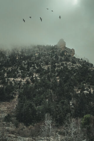 Montain
