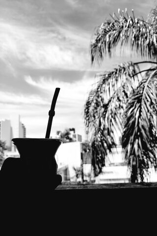 Sipping Serenity: Mates Palmera Vibes 🌴☕