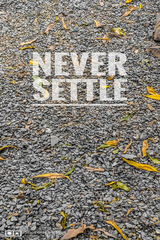 Embrace the Journey: Never Settle 🌿✨