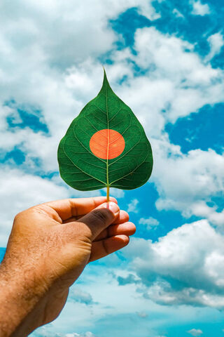 Nature's Tribute: The National Flag Leaf 🌿🇧🇩