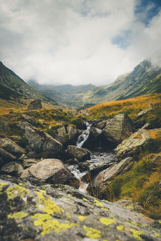 Serenity in the Transfagarasan Mountains 🌄✨