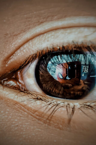 OJO: The Window to the World 🌍👁️