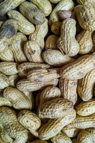 Nutty Delights: The Joy of Peanuts! 🥜✨