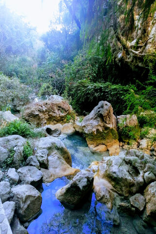 Serenity of Rio Azul: Nature's Hidden Gem 🌊✨