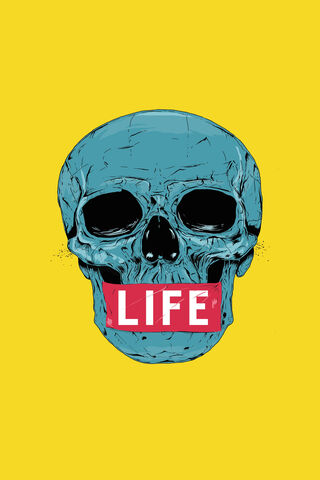 Vibrant Existence: The Skull of Life