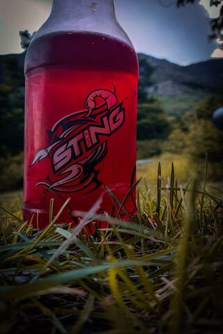 Energize Your Adventure with STING! ⚡️🥤