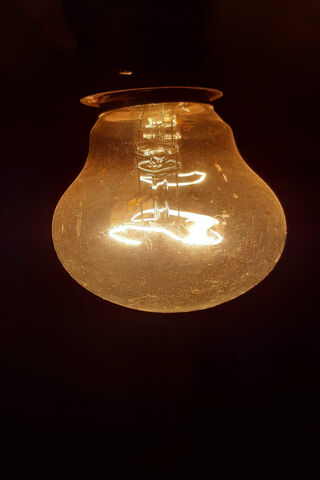 Illuminate the Mystery: Saca El Foco Crikoso