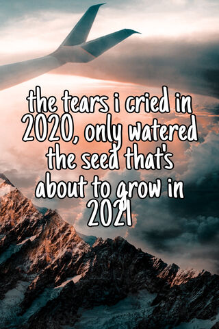 Tears Seed 2021