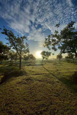 Morning Glow: Nature's Awakening 🌅