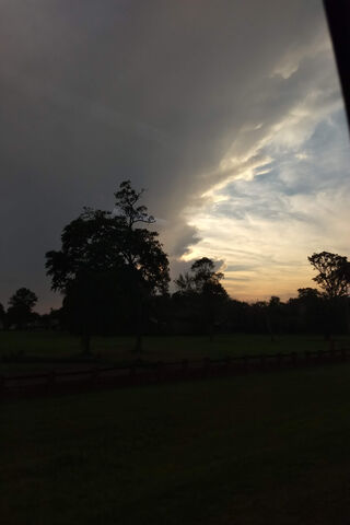 Twilight Whispers: A Serene Evening