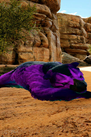 Dreaming in Color: The Thylacoleo's Rest