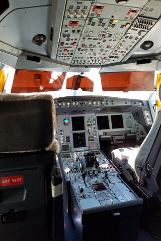 Inside the A330: A Pilot's Paradise ✈️