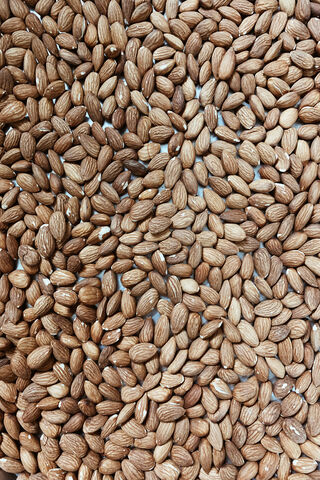 Nature's Crunchy Delight: Almonds Galore! 🌰✨