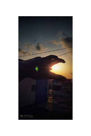Chasing the Sun: A Mome..