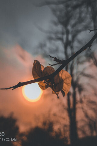 Whispers of the Sunset 🌅🍂