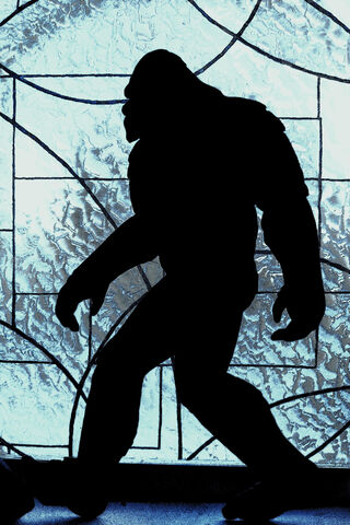 The Elusive Shadow of Bigfoot 🦶🌲