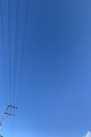 Endless Horizons: A Glimpse of Blue Sky 🌤️