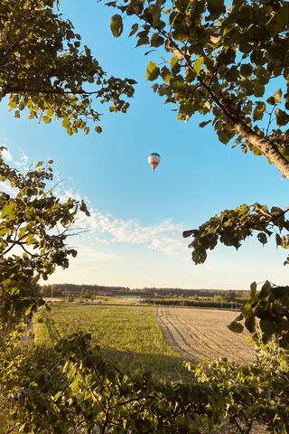 Soaring Dreams: A Balloon's Journey