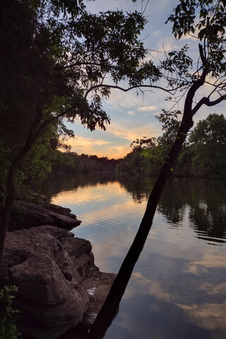 Blume: Nature's Tranquil Embrace 🌅🌿